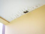Leaky Pipes in Your Home: Its a problem