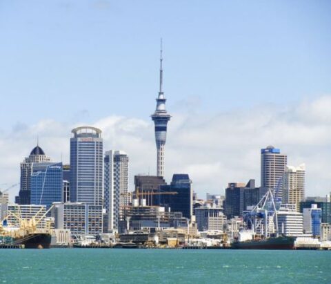 Holidaying In New Zealand? Here Are The Top Places To Visit