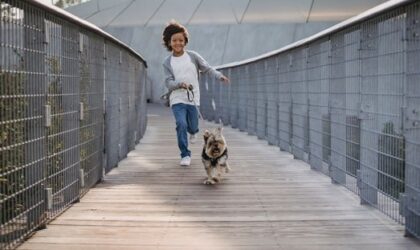 The Benefits of Dog Walking and Training: Improving the Health and Happiness of Dogs and Their Owners