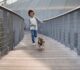 The Benefits of Dog Walking and Training: Improving the Health and Happiness of Dogs and Their Owners