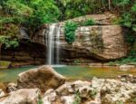 Explore the Hidden Gem of the Sunshine Coast: Buderim