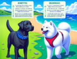 Collars vs harnesses for dogs