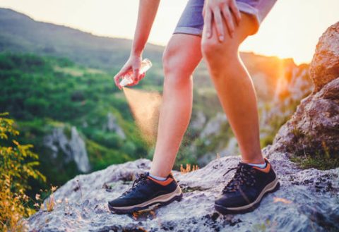 Natural Insect Repellents in Australia – The Ultimate Guide