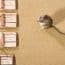 Choosing the Right Rodent Control Products in Australia