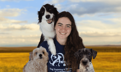Paws Claws & Tails – Puppy School Sunshine Coast