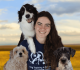 Paws Claws & Tails – Puppy School Sunshine Coast